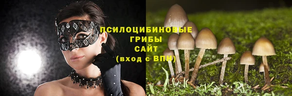дмт Баксан