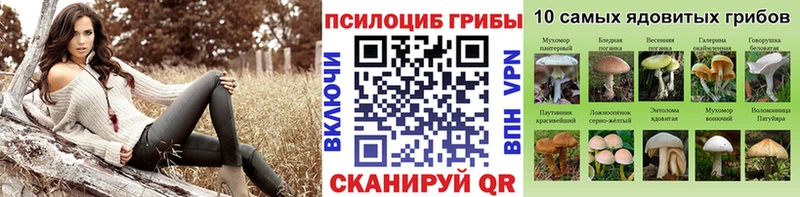 Галлюциногенные грибы Psilocybine cubensis  Ливны 